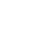 tiktok Icon